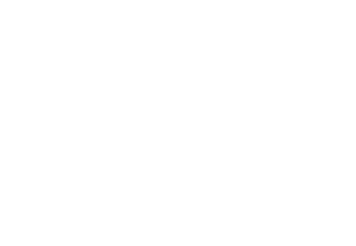 KIWI HELMET